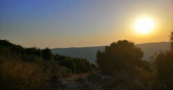 Land for Sale Bejjeh Jbeil Area 6800Sqm