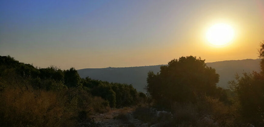 Land for Sale Bejjeh Jbeil Area 6800Sqm