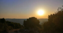 Land for Sale Bejjeh Jbeil Area 6800Sqm