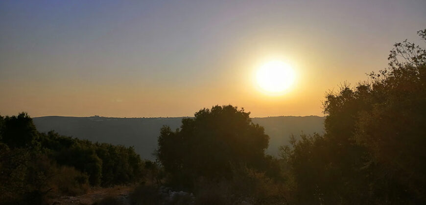 Land for Sale Bejjeh Jbeil Area 6800Sqm