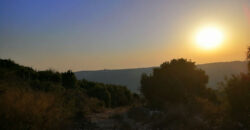 Land for Sale Bejjeh Jbeil Area 6800Sqm