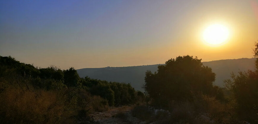 Land for Sale Bejjeh Jbeil Area 6800Sqm