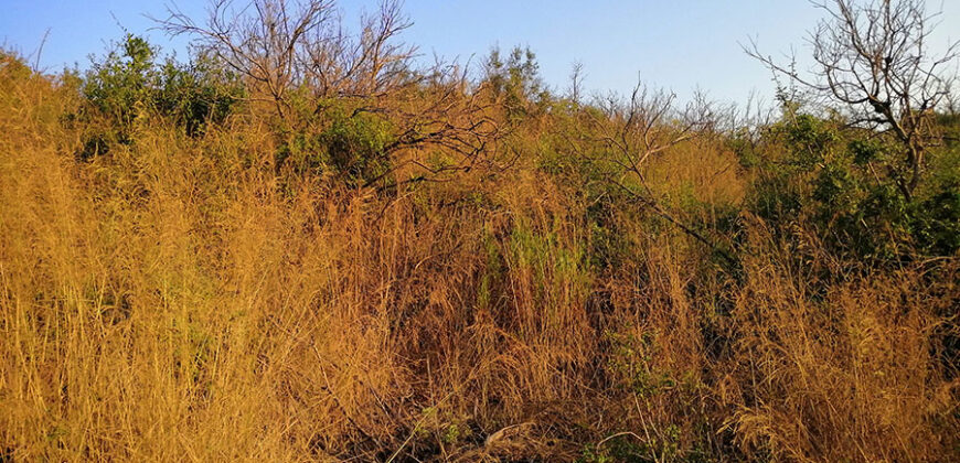 Land for Sale Bejjeh Jbeil Area 6800Sqm