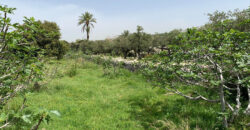 Land for Sale Monsef Jbeil Area 2120Sqm