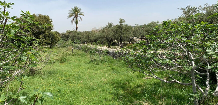 Land for Sale Monsef Jbeil Area 2120Sqm