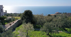 Land for Sale Monsef Jbeil Area 2120Sqm