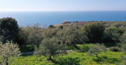 Land for Sale Monsef Jbeil Area 2120Sqm