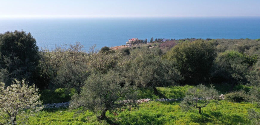Land for Sale Monsef Jbeil Area 2120Sqm
