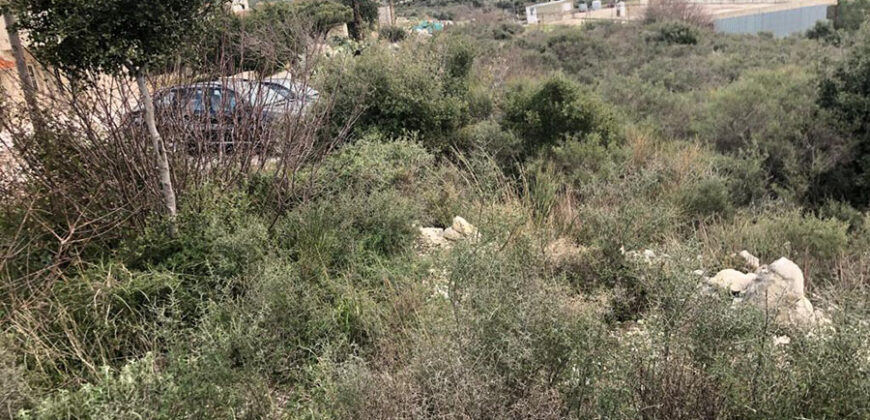 Land for Sale Jrabta Batroun Area 4000Sqm