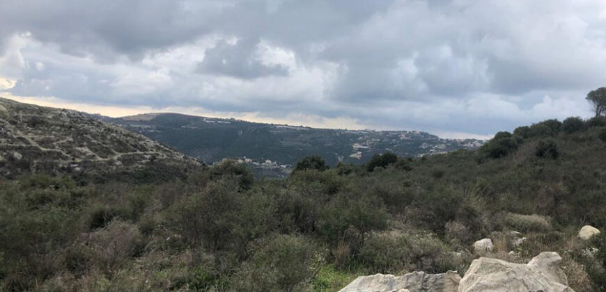 Land for Sale Jrabta Batroun Area 4000Sqm