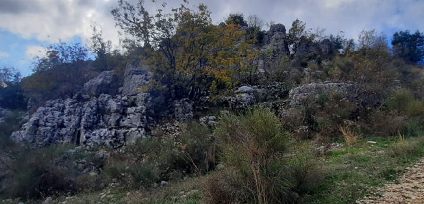 Land for Sale Faitroun Kesserwan Area 1110Sqm