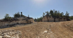 Land for Sale Mechmech Jbeil Area 830Sqm