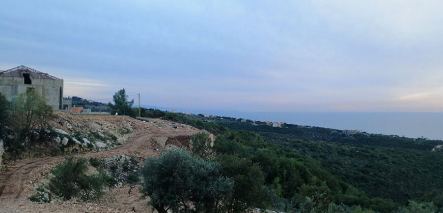 Land for Sale Berbara Jbeil Area 2839Sqm