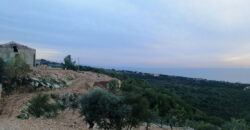 Land for Sale Berbara Jbeil Area 2839Sqm