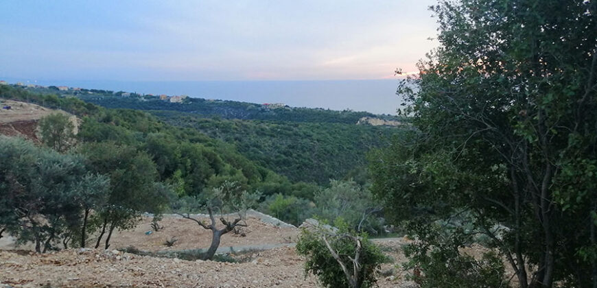 Land for Sale Berbara Jbeil Area 2839Sqm