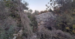 Land for Sale Bejjeh Jbeil Area 2300Sqm