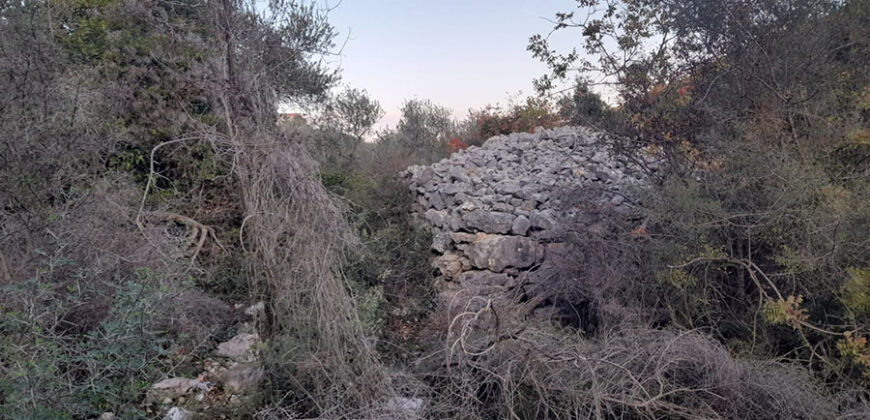 Land for Sale Bejjeh Jbeil Area 2300Sqm
