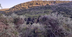 Land for Sale Bejjeh Jbeil Area 2300Sqm