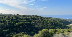 Land for Sale Berbara Jbeil Area 5000Sqm
