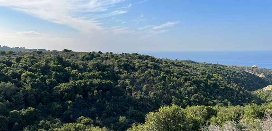 Land for Sale Berbara Jbeil Area 5000Sqm