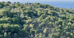 Land for Sale Berbara Jbeil Area 5000Sqm