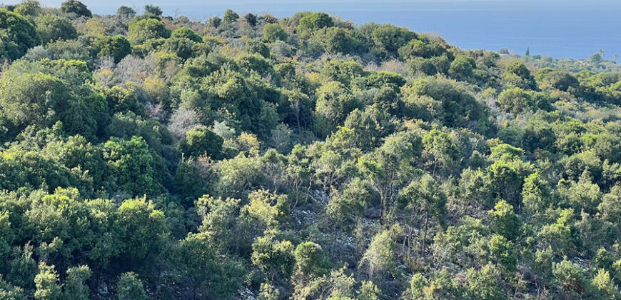 Land for Sale Berbara Jbeil Area 5000Sqm