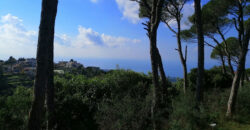 Land for Sale Gharzouz Jbeil Area 2968Sqm