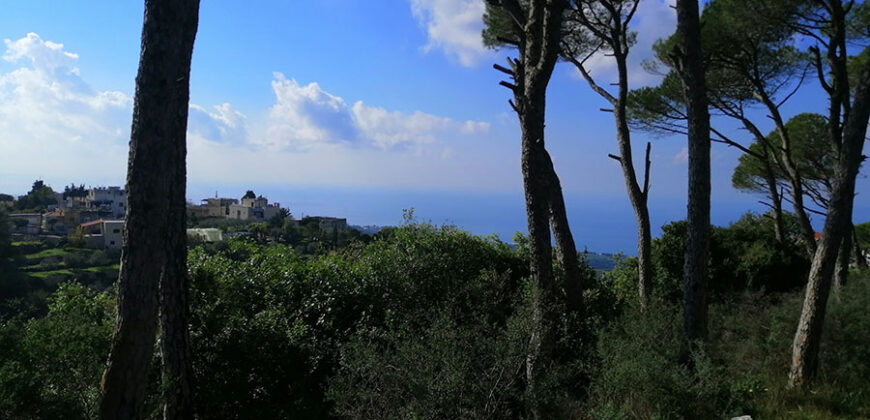 Land for Sale Gharzouz Jbeil Area 2968Sqm