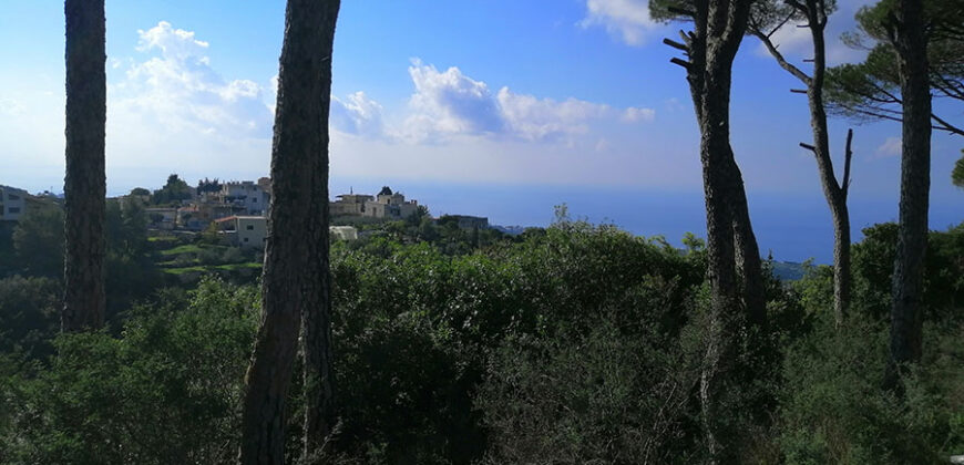 Land for Sale Gharzouz Jbeil Area 2968Sqm