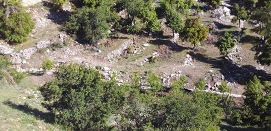 Land for Sale Ehmej Jbeil Area 3135Sqm