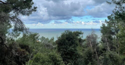 Land for Sale Sahel Aalma Kesserwan Area 5200Sqm