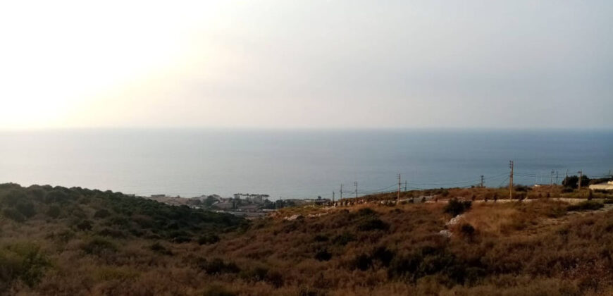 Land for Sale Kfar Aabida Batroun Area 1390Sqm