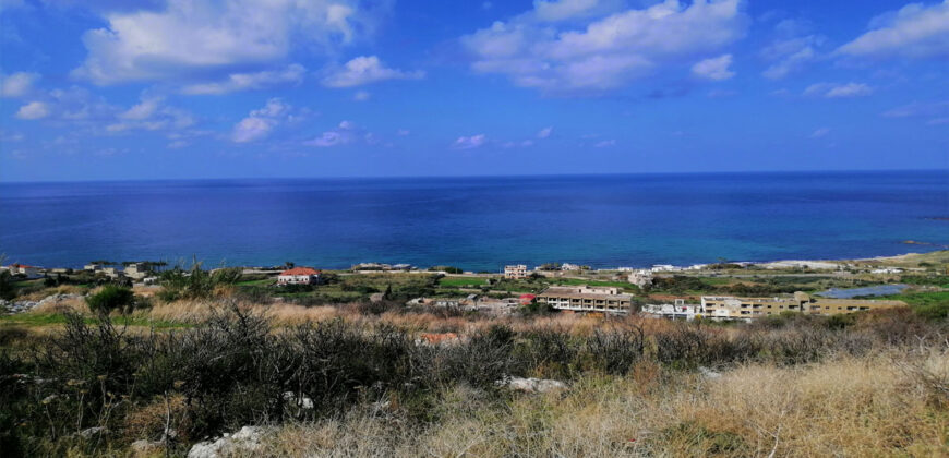 Land for Sale Kfar Aabida Batroun Area 1390Sqm