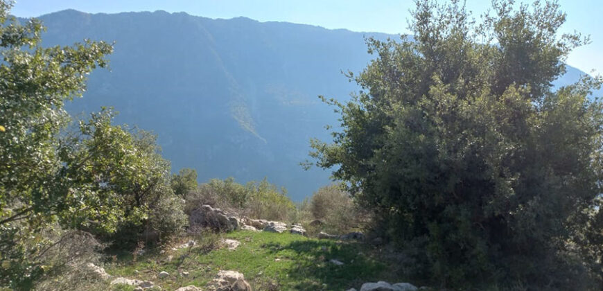 Land for Sale Ain Jrain Jbeil Area 2058Sqm