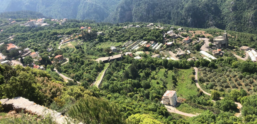 Land for Sale Adonis Sannour Jbeil Area 923Sqm