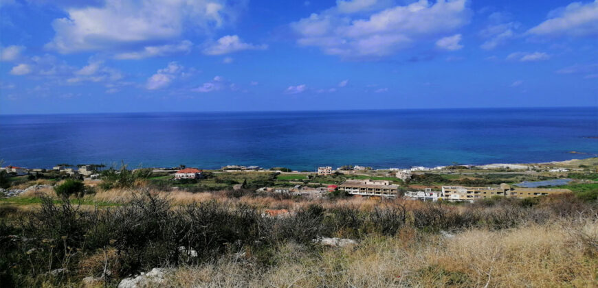 Land for Sale Kfar Aabida Batroun Area 14000Sqm