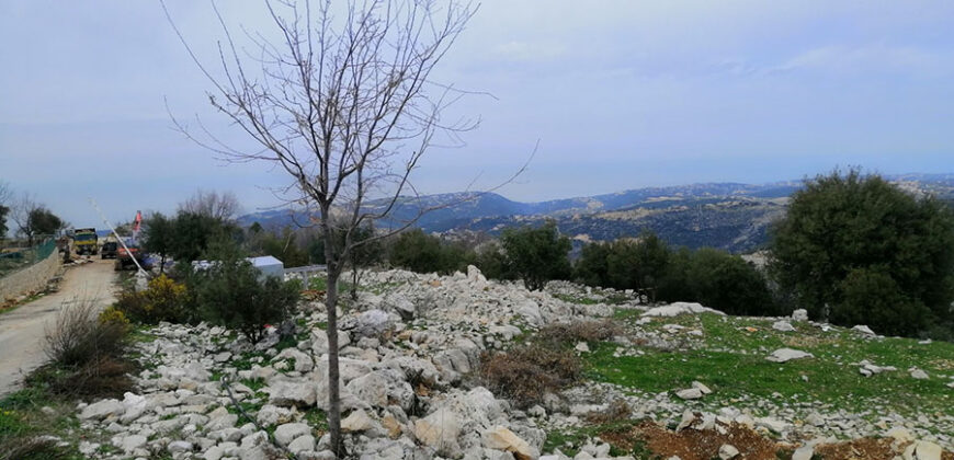 Land for Sale Mechmech Jbeil Area 700Sqm