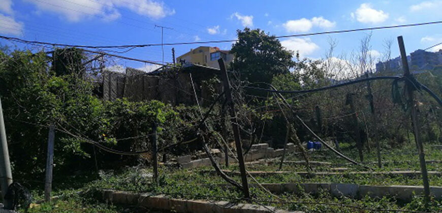Land for Sale Blat Jbeil Area 836Sqm