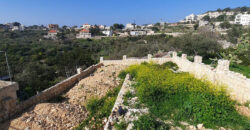 Old House for Sale Edde Batroun Housing Area 190Sqm and Land Area 1150Sqm