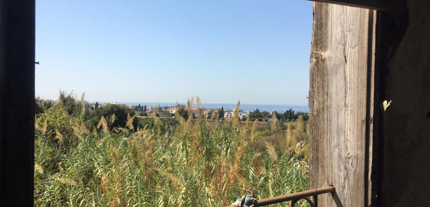 Land for Sale Batroun City Area 987Sqm & Old Ruin