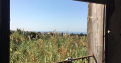 Land for Sale Batroun City Area 987Sqm & Old Ruin