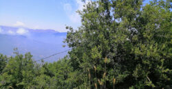 Land for Sale Ehmej ( Aaouayni ) Jbeil Area 2416Sqm