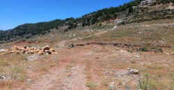 Land for Sale Ehmej Jbeil Area 5206Sqm