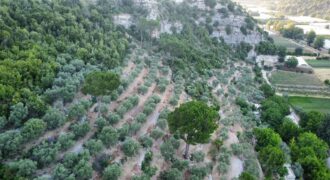 Land for Sale Beit Chlala Batroun Area 4300Sqm