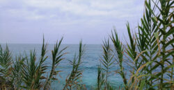 Land for Sale Aamchit Jbeil Area 1400Sqm