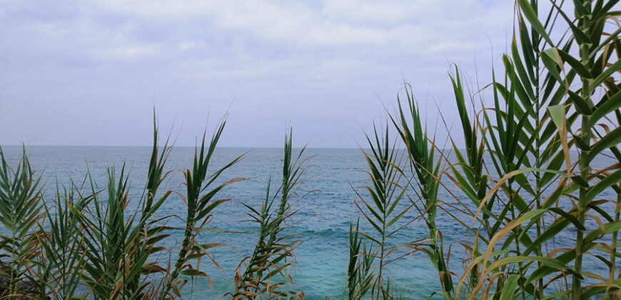 Land for Sale Aamchit Jbeil Area 1400Sqm