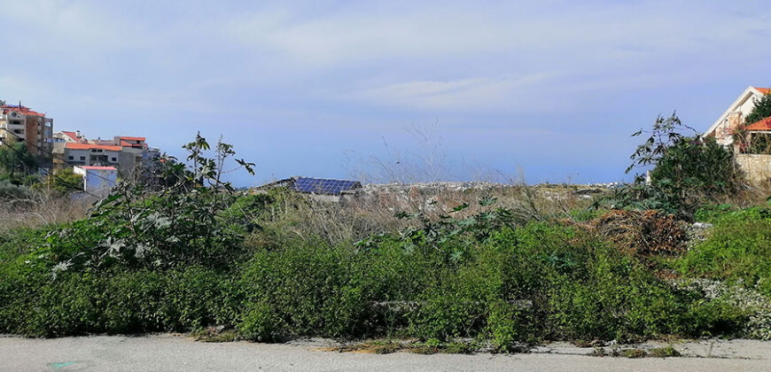 Land for Sale Hboub Jbeil Area 818Sqm