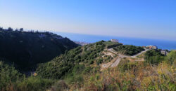 Land for sale Edde Jbeil Area 1111Sqm