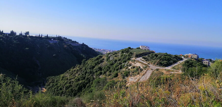 Land for sale Edde Jbeil Area 1111Sqm