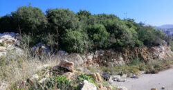 Land for sale Edde Jbeil Area 1111Sqm